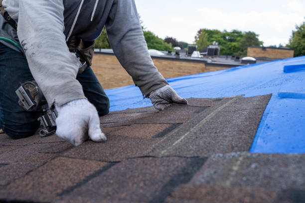 Quick and Trustworthy Emergency Roof Repair Services in Ocilla, GA