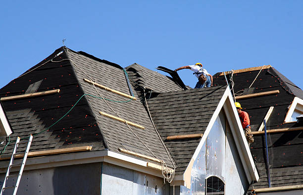 Gutter Installation and Roofing in Ocilla, GA