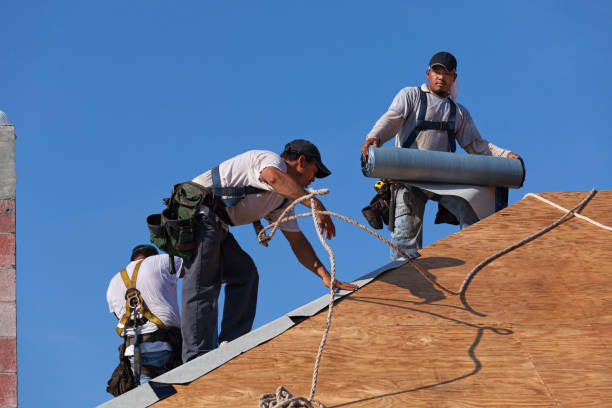 Best Storm Damage Roof Repair  in Ocilla, GA