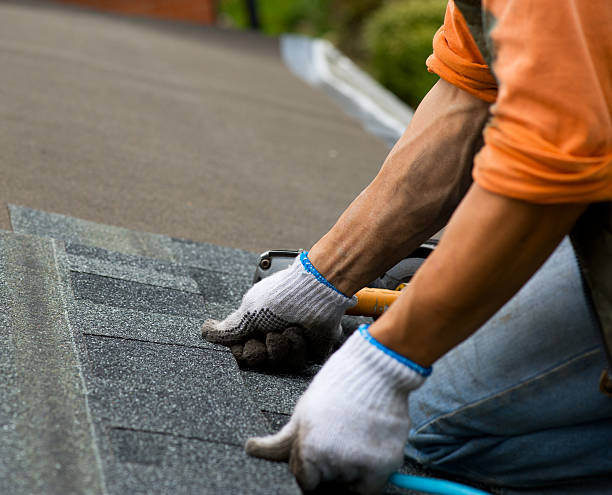 Best Roof Leak Repair  in Ocilla, GA