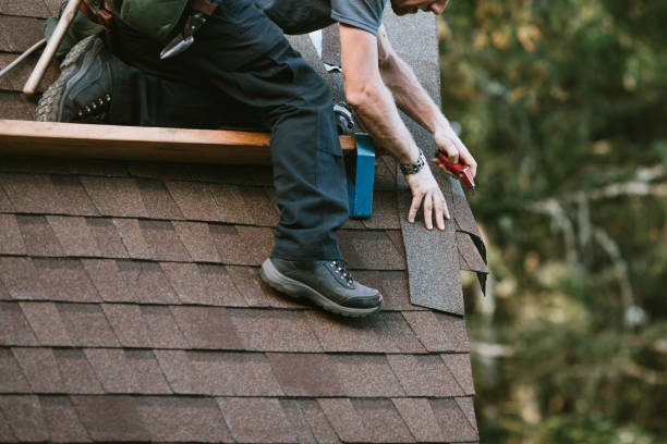 Best Roof Gutter Cleaning  in Ocilla, GA