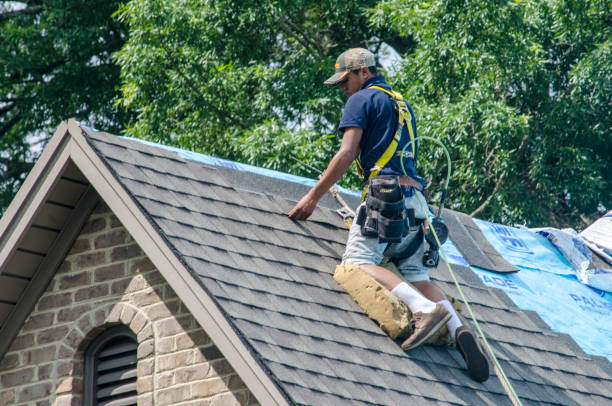 Best Metal Roofing Contractor  in Ocilla, GA